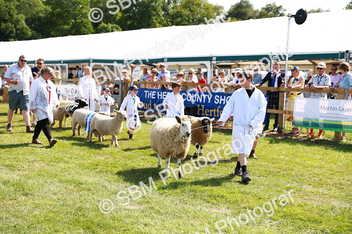 SBM_08386 - Grand Parade