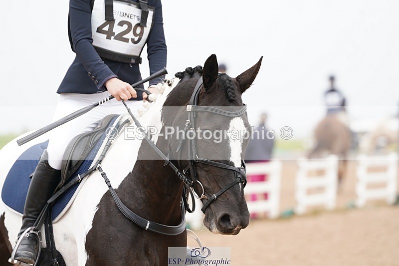 240901A-092522-05354 - 429-Maisie.Jenssen-CAPPA.RATHMORRISSEY.LADY.GERTRUDE