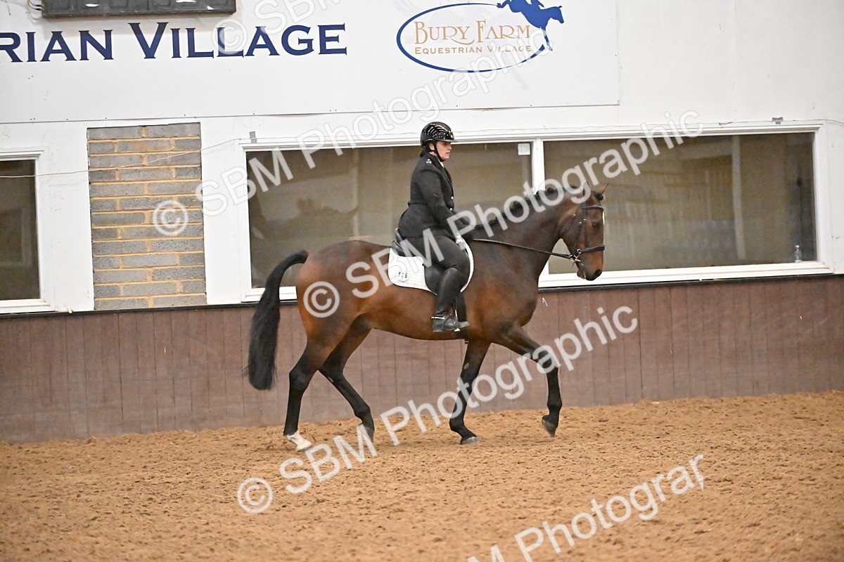 SBM_002961 - Class 37,38 - UKPSAF Performance Horse & Pony
