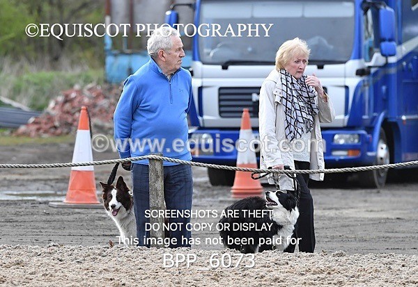 BPP_6073 - CLASS 27 SUN Senior Newcomers/ 1.10m Open