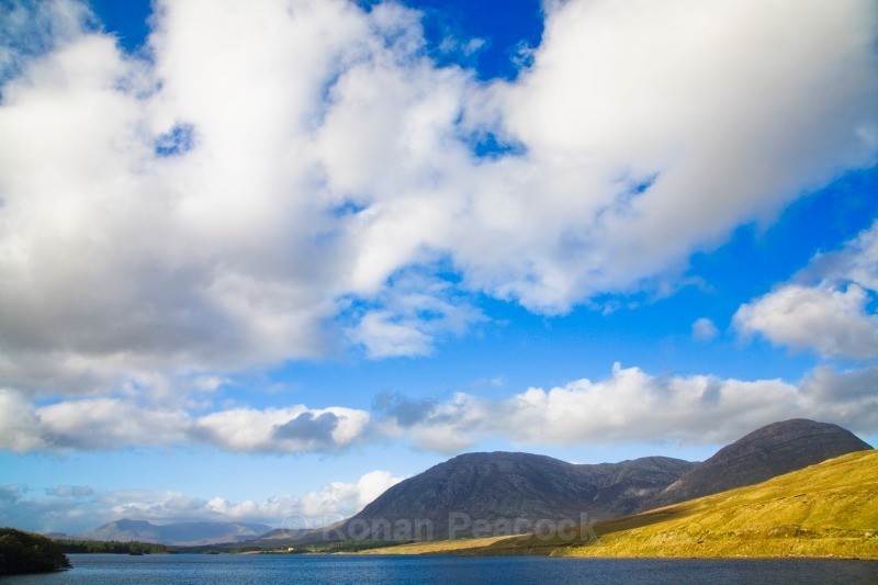 Yellow and grey - West of Ireland