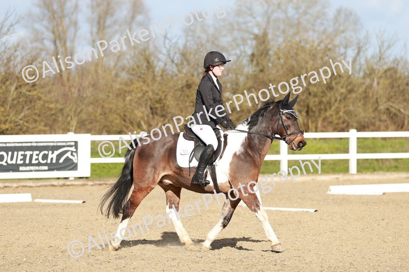 20260314-5290 - DR4 - Prelim 2