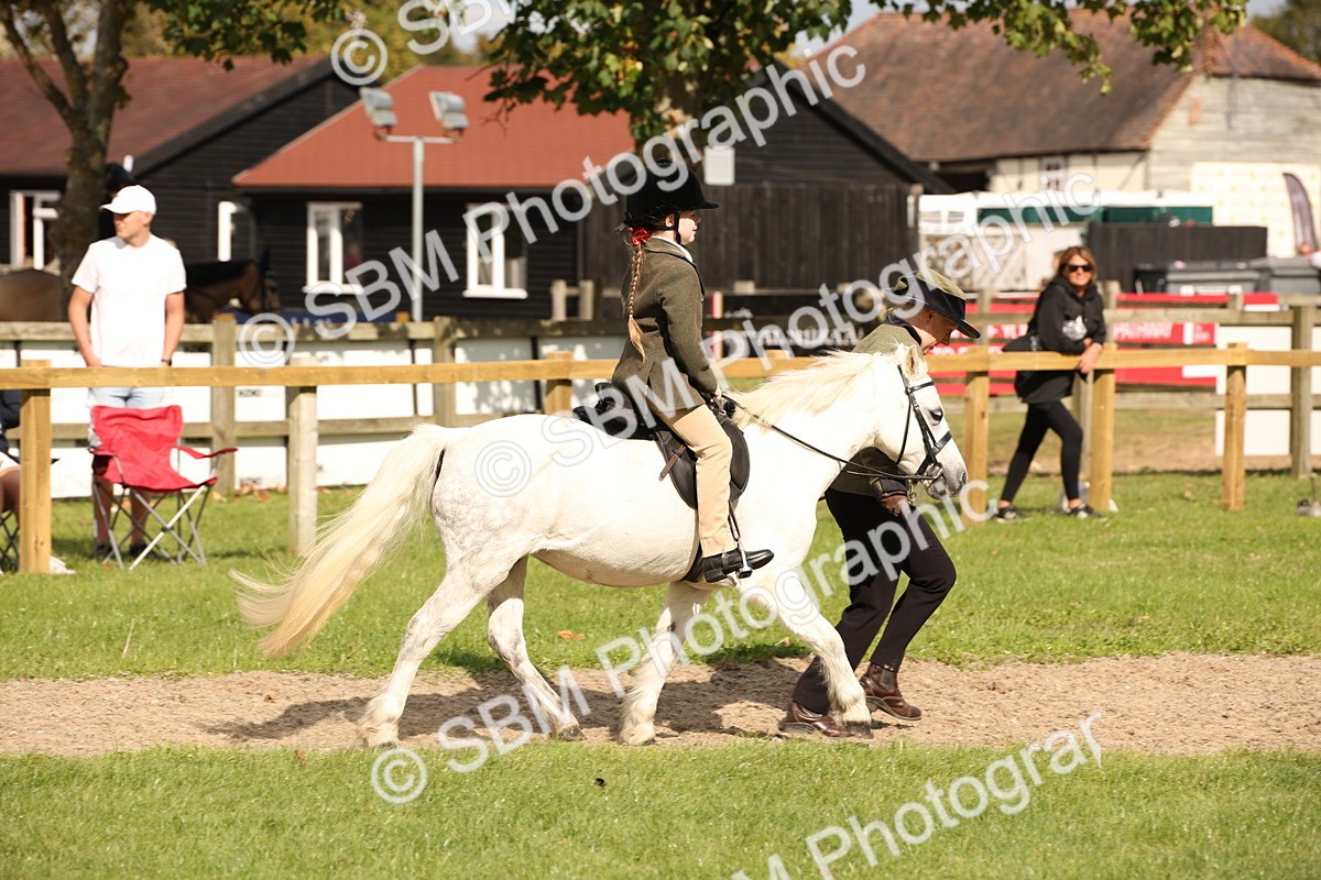 SBM_49995 - S26 - Young Veteran - Ridden