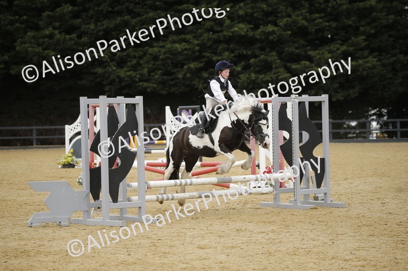 20250622-6113 - 60cm