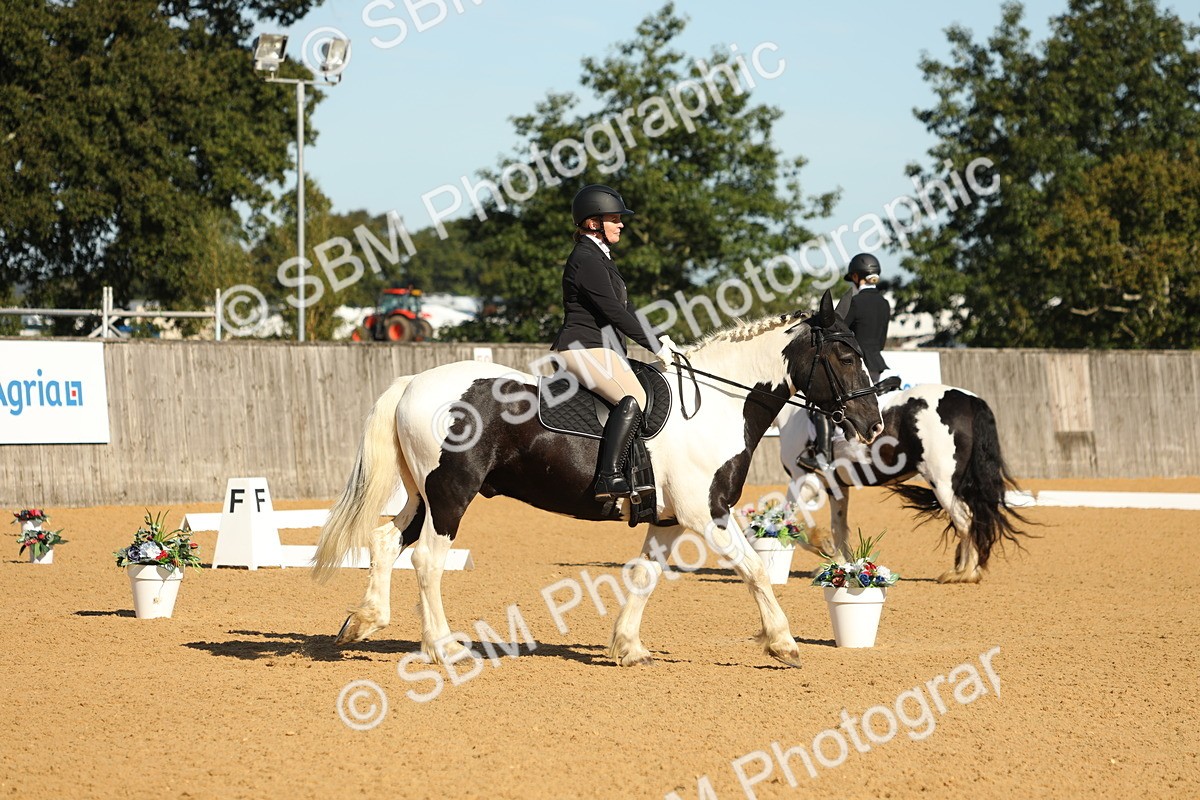 SBM_16575 - D10 - Small Tour Championship - Prelim 2
