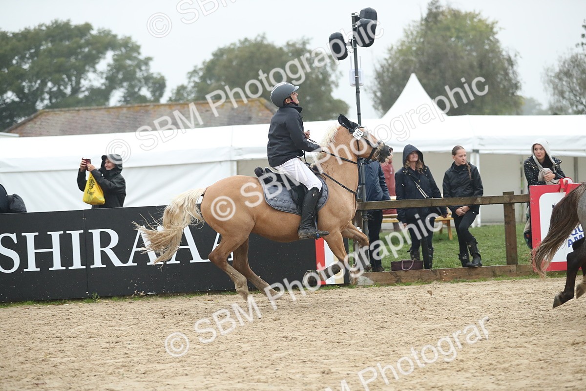 SBM_74355 - Supreme championship Junior Pony 70cm 75cm