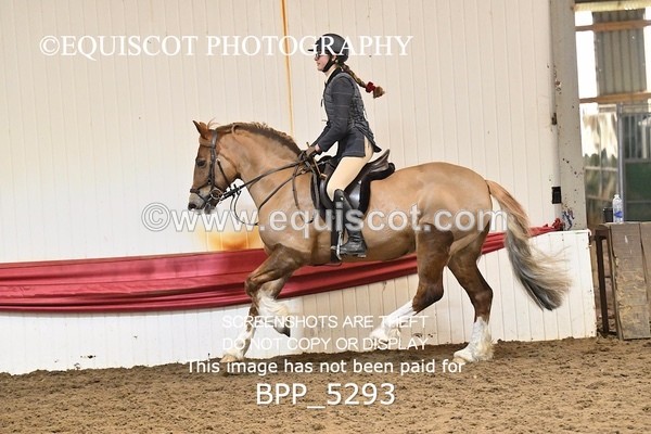 BPP_5293 - CLASS 6 60CM