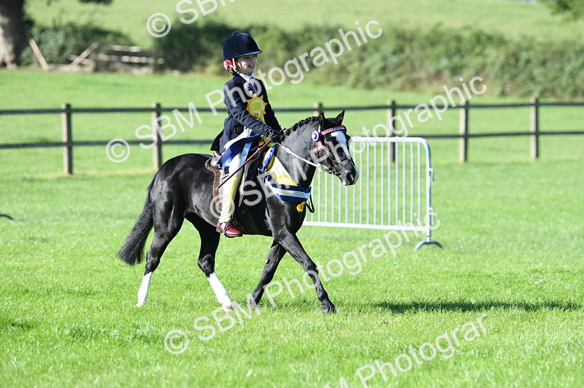 SBM_35617 - Top Turnout Supreme Championship