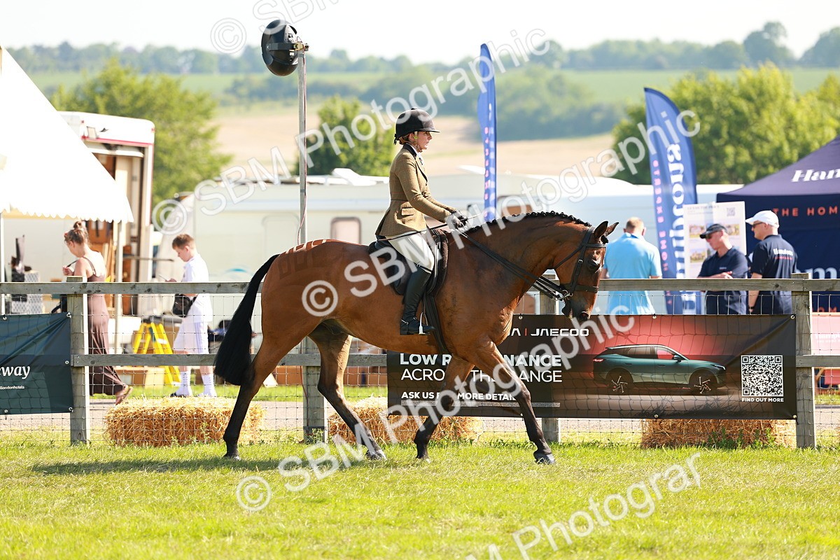 SBM_12024 - Class 66-69 - RIHS Ridden Hunters Inc Small Hunter