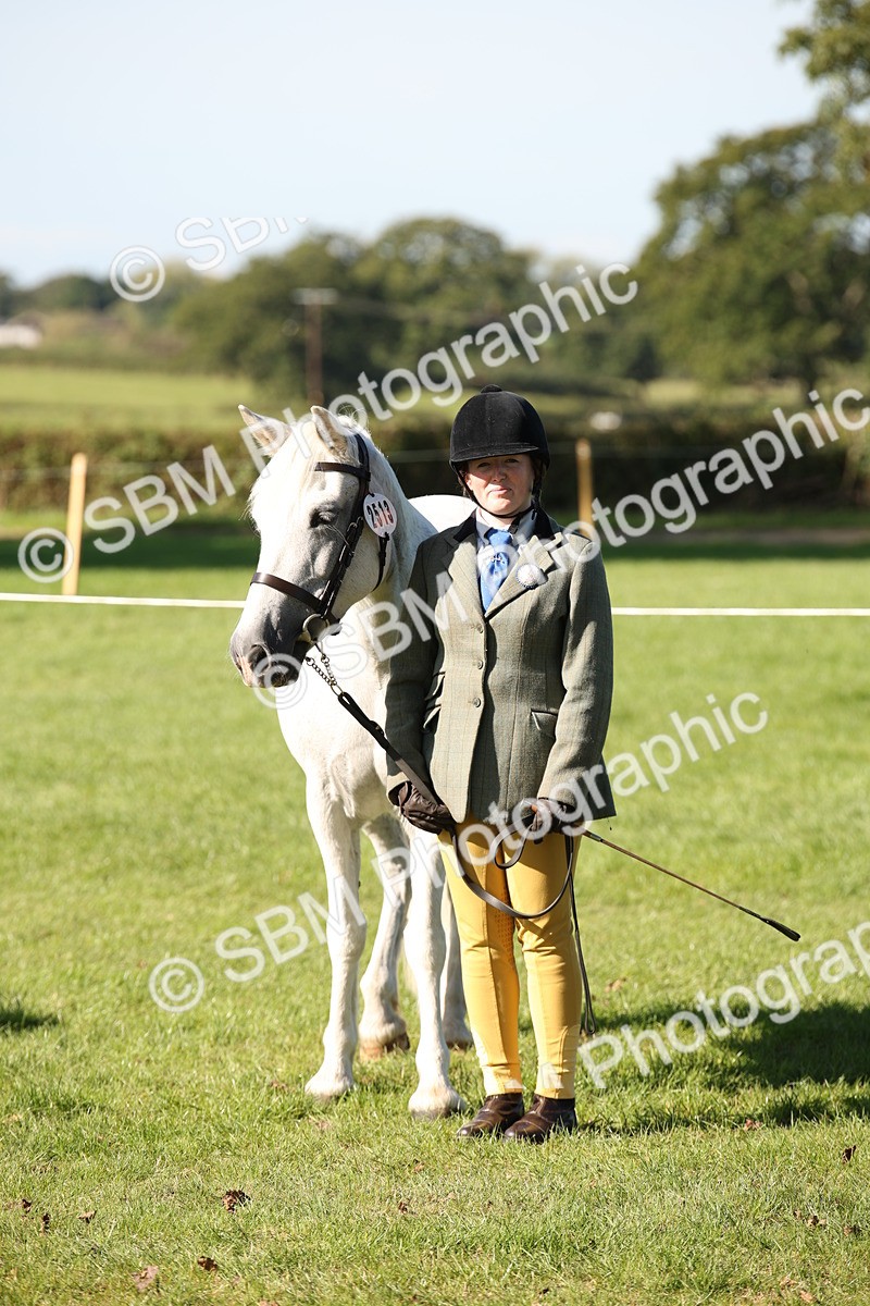 SBM_36673 - S10 - Best In Hand Horse & Pony