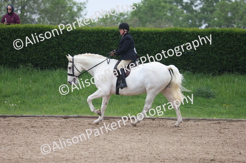 20260504-1125 - Class 14 - Cob and Hunter