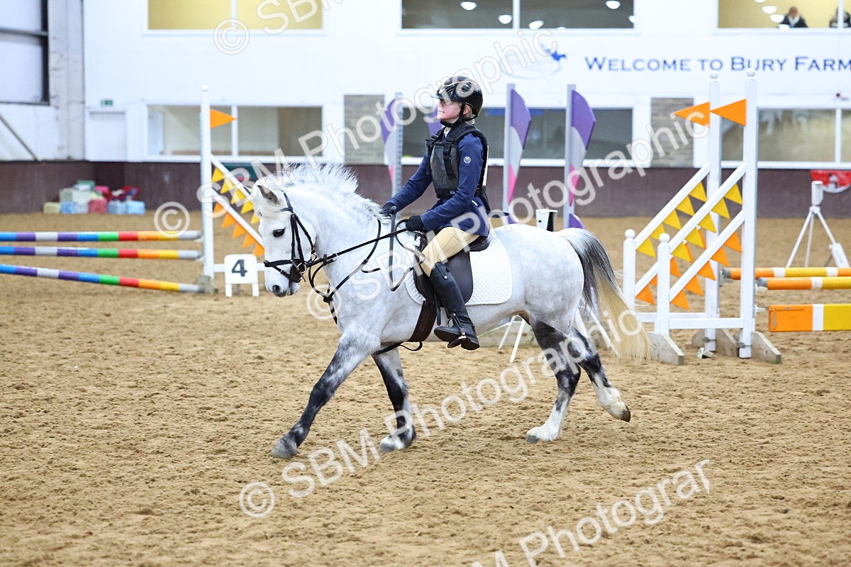 SBM_001401 - Class 3 - Christmas Tree Stakes - 60cm