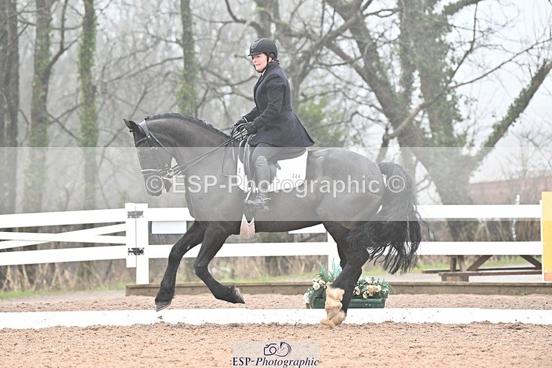 250215-103455-03057 - 244-Suzanne.Clark-Ballinamurra.Billy