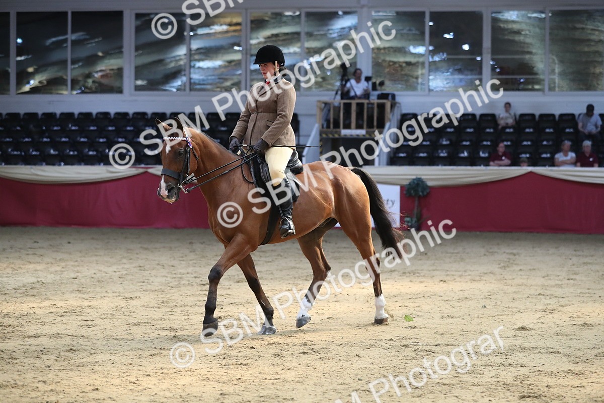 SBM_08326 - Class 11R Regional Ridden Veteran
