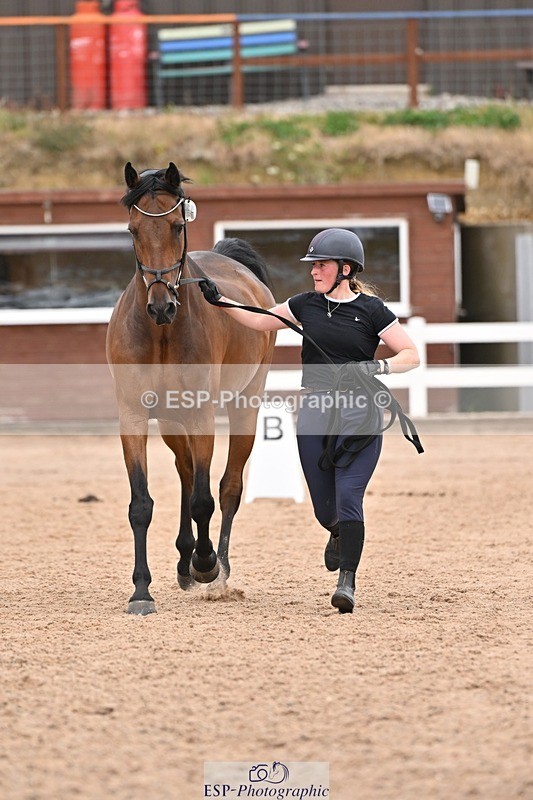 250716-160414-02387 - Trot Up 3.30 to 4.30