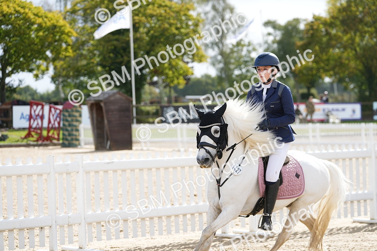 SBM_39603 - J6 - Junior Pony 55cm Championship