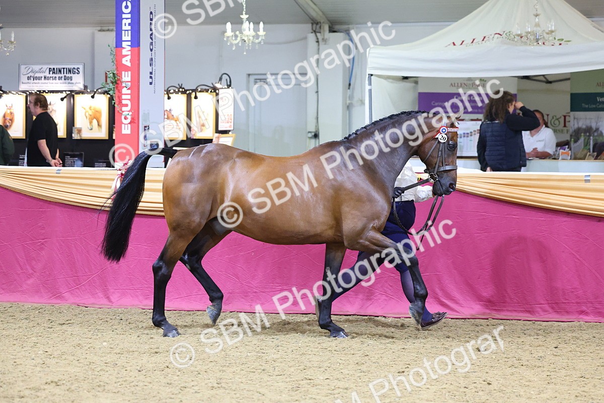 SBM_20990 - Class 902 - Supreme Final IH Veteran