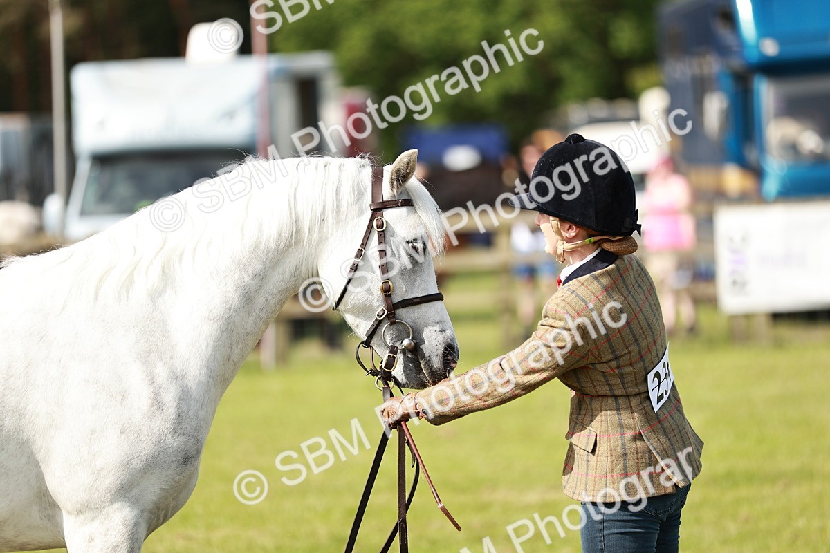 SBM_01631 - Class 14-23 - Mountain & Moorland In Hand Non Welsh