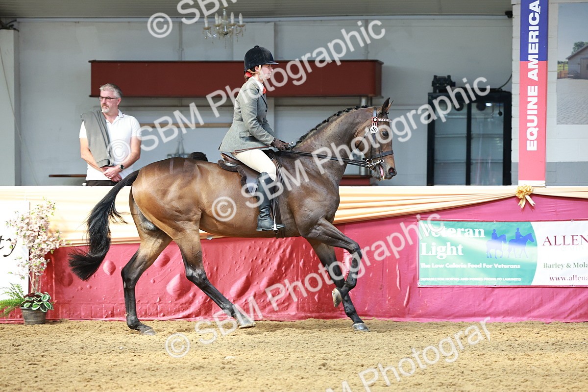 SBM_14964 - Class 108 - Ridden Retired Racehorse