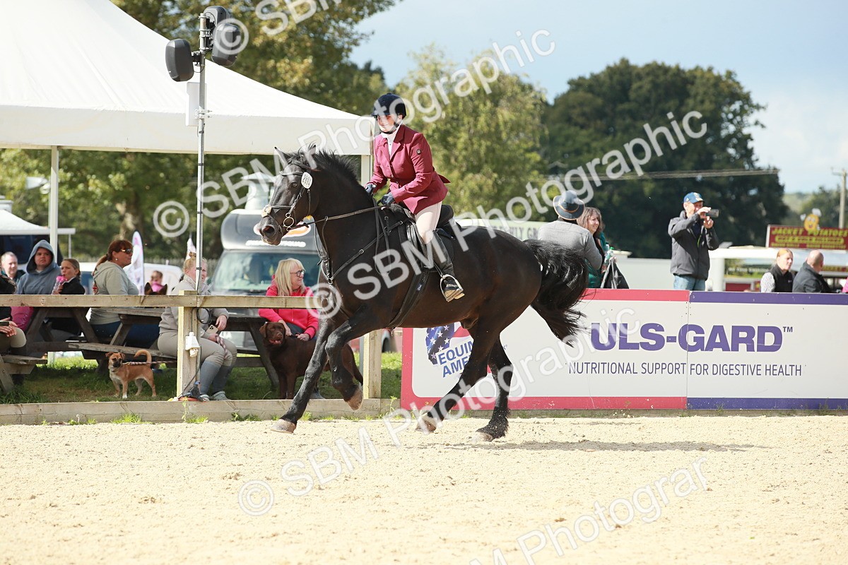 SBM_06338 - J29 Senior 65cm Championship