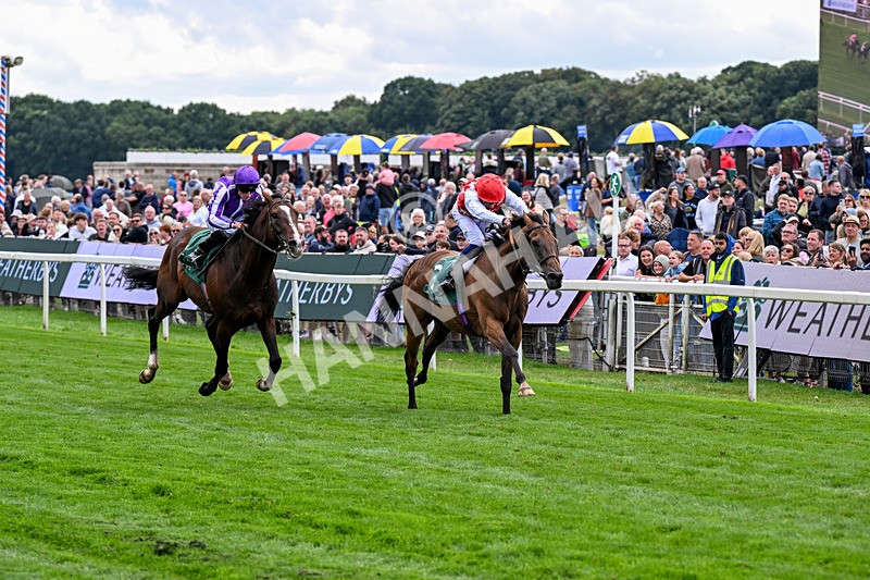 210826-Race 2-Al Nayyir-5396 - Race 2 14.25pm Weatherbys Lonsdale Cup Stakes