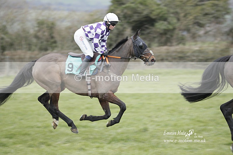 PtP 050323 400 - Blackmore & Sparkford Vale Hunt PtP - Somerset 05/03/23