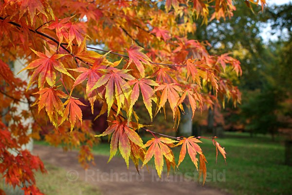  - Autumn