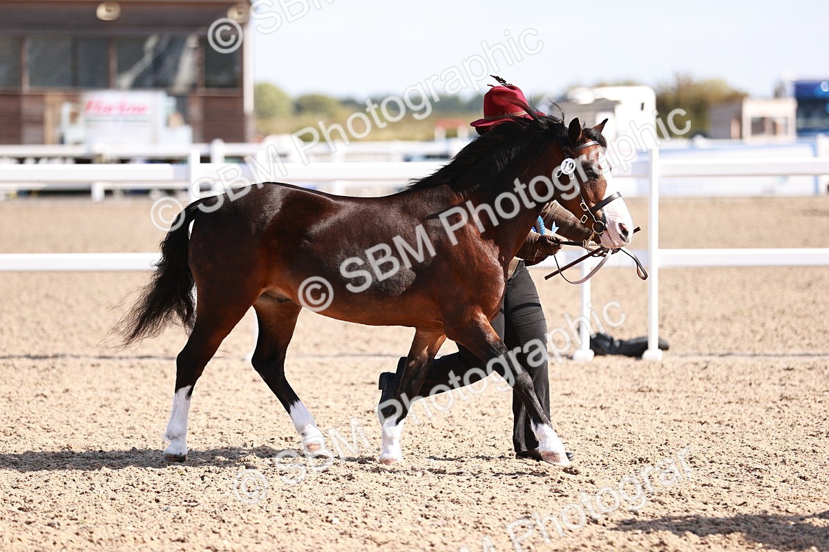 SBM_22740 - Class 704 - IH  Rescue