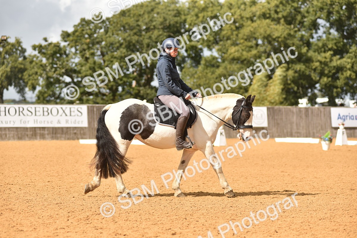 SBM_07748 - D15 - Small Tour Championship Novice 1