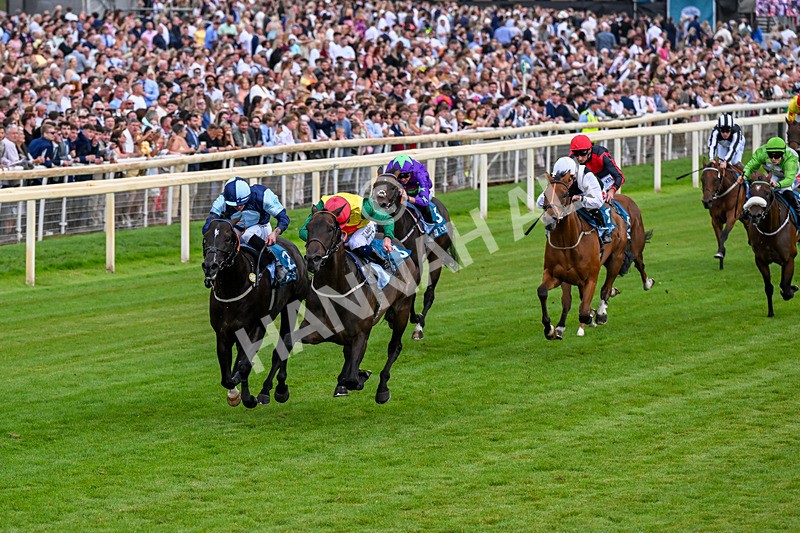 250726-Race 7-Flight Control-1314 - Race 7 16.52pm Sky Bet Extra Places Handicap