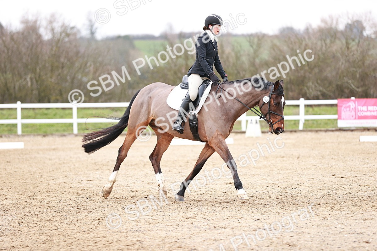 SBM_005261 - Elementary 1