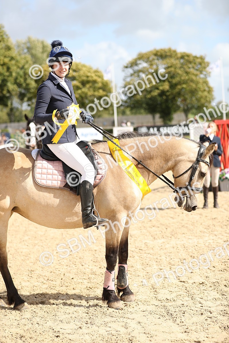 SBM_06518 - J29 - Senior Horse & Pony 65cm Championship