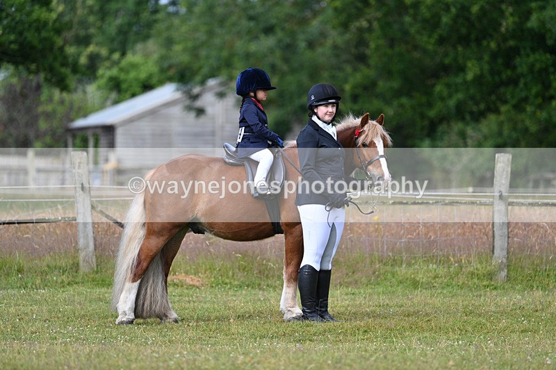 WJ7_4462 - Class 1 Lead Rein Pony