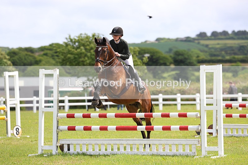 3E7A7505 - Class 13: Senior British Novice/90cm open