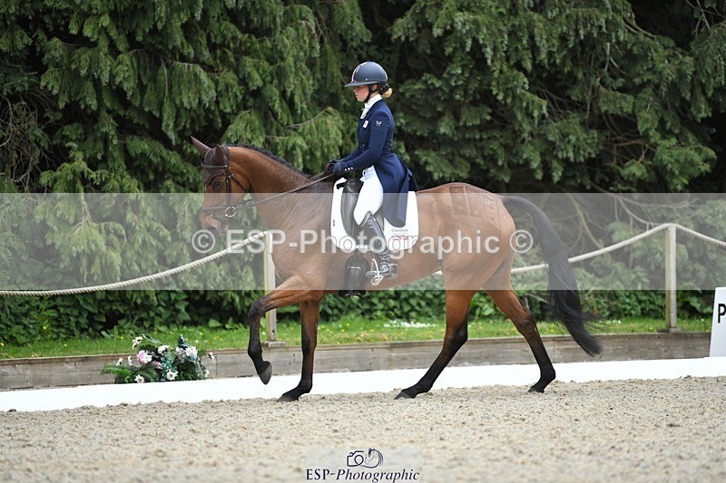 230525-143831-03152 - 322-CHANSON_DU_VILLAGE-Phoebe_Locke-WEDTrotUp+DR