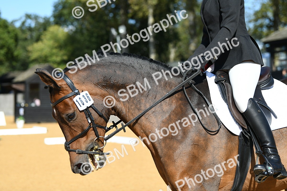 SBM_24858 - D13 - Grand Tour Championship - Prelim 12