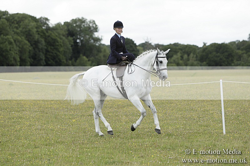 BVR160717-2368 - Side Saddle Classes 16/07/17