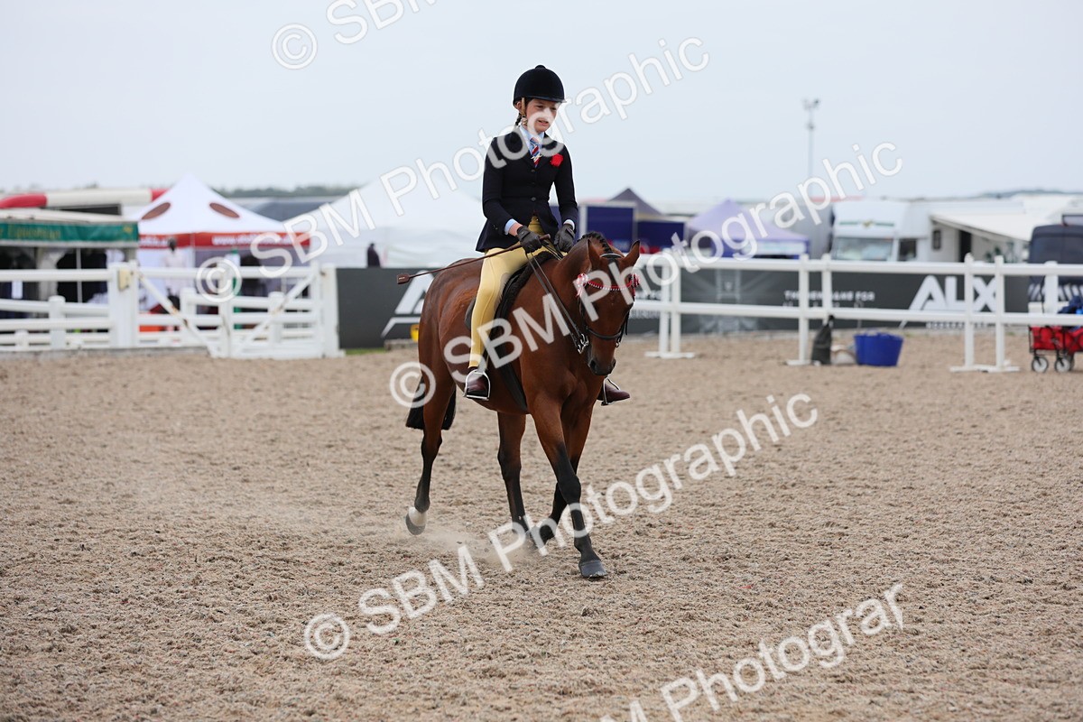 SBM_18092 - Class 316 Best Pony/Rider Combination