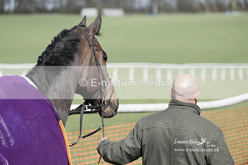 PtP 100423 801 - Old Berkshire Point-to-Point Lockinge 10/04/23