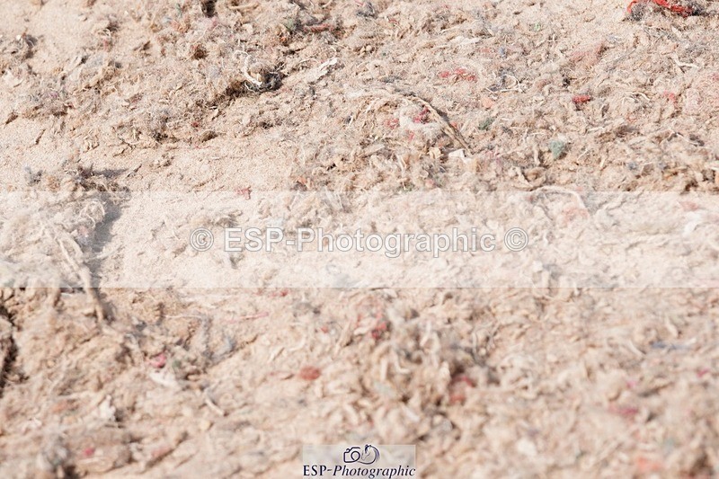 250503-110846-00614 - Cls 19+20 Club and Schools 70cm