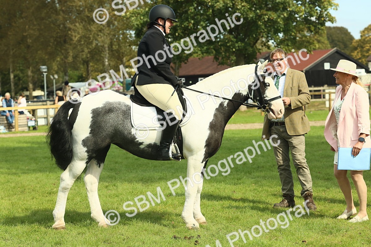SBM_66580 - S34 - Rehabilitated Rescue Horse & Pony In Hand & Ridden