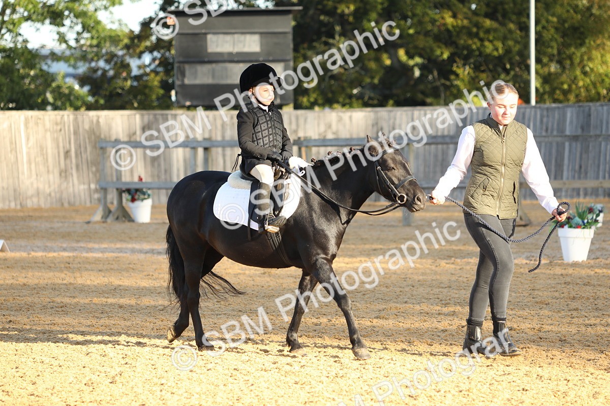 SBM_33574 - D26 - Starers - Lead Rein
