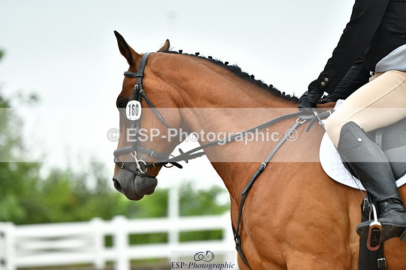 230708A-122252-02779 - Prelim 13