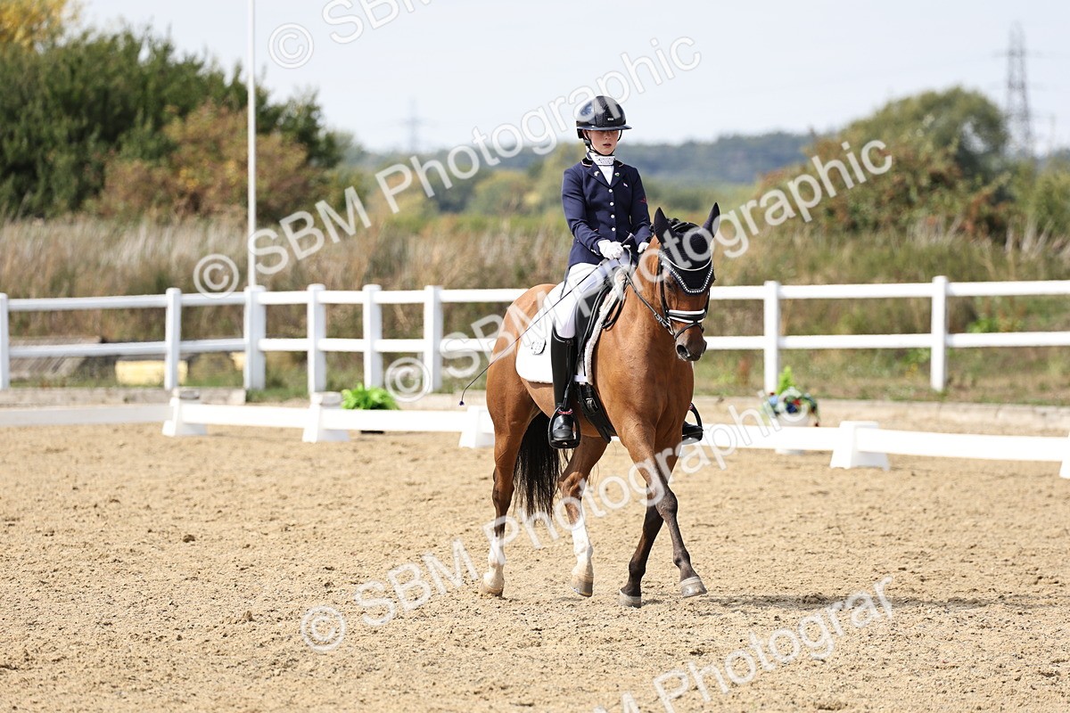 SBM_014825 - Class 7 - Medium 3