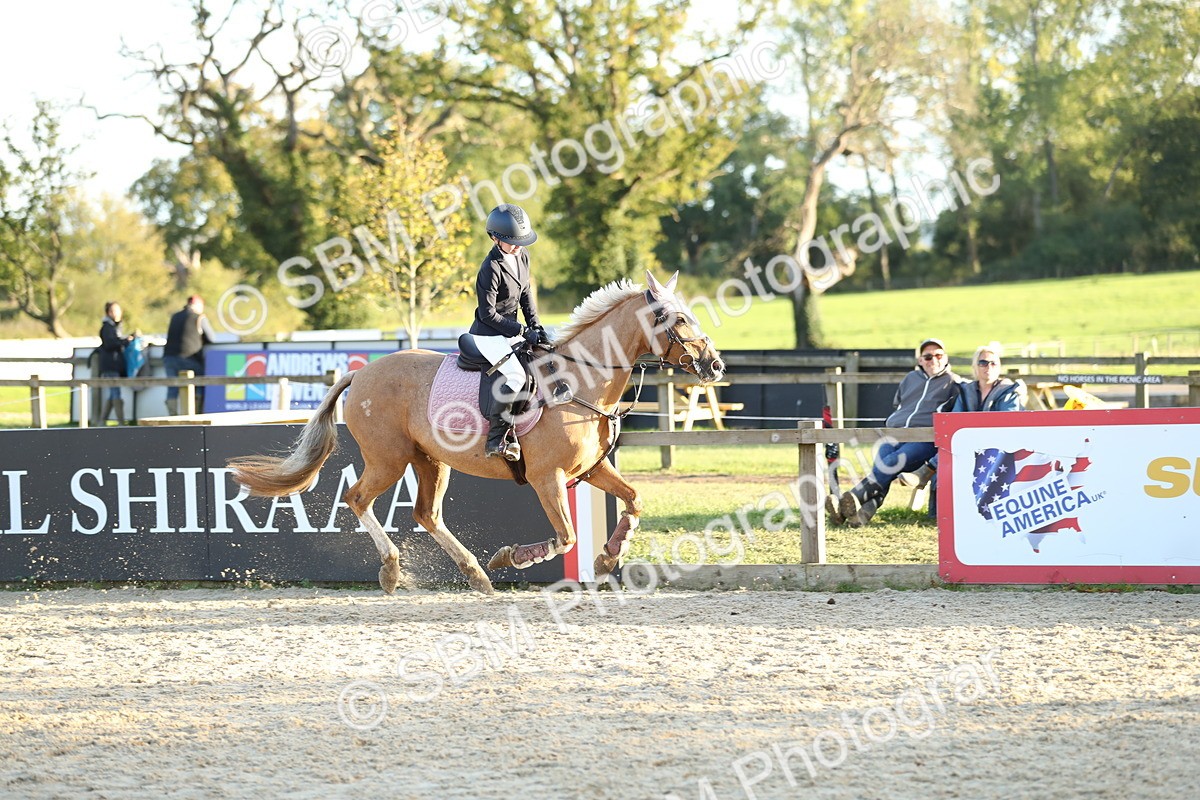 SBM_54368 - J23 - Junior Horse 70cm Championship