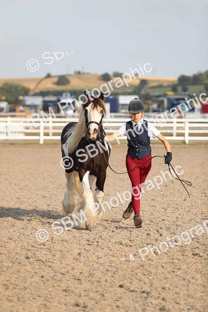 SBM_09077 - Class 29 IH Veteran Pony