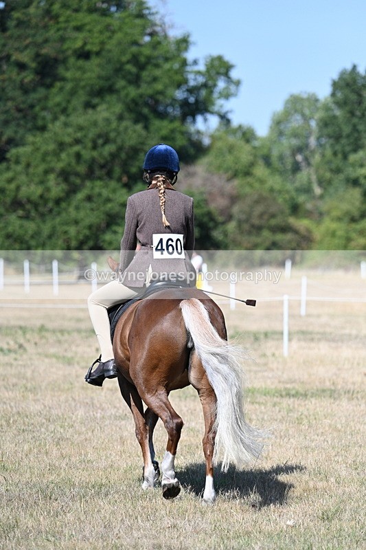 WJ7_3986 - Class 9 Mountain & Moorland Ridden