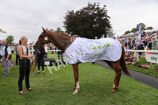 yr18082022r3-59 - Race 3 3.00pm Clipper Logistics Stakes