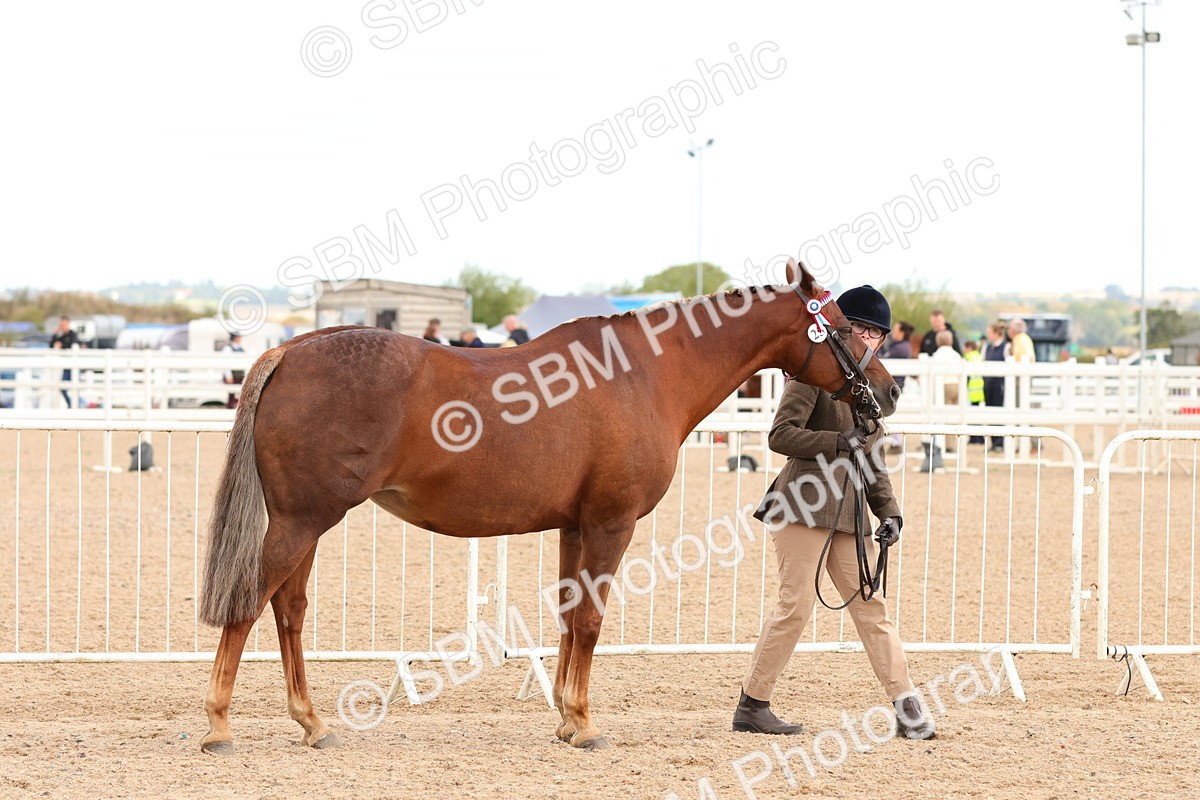 SBM_11918 - Class 209 - IH Veteran Pony