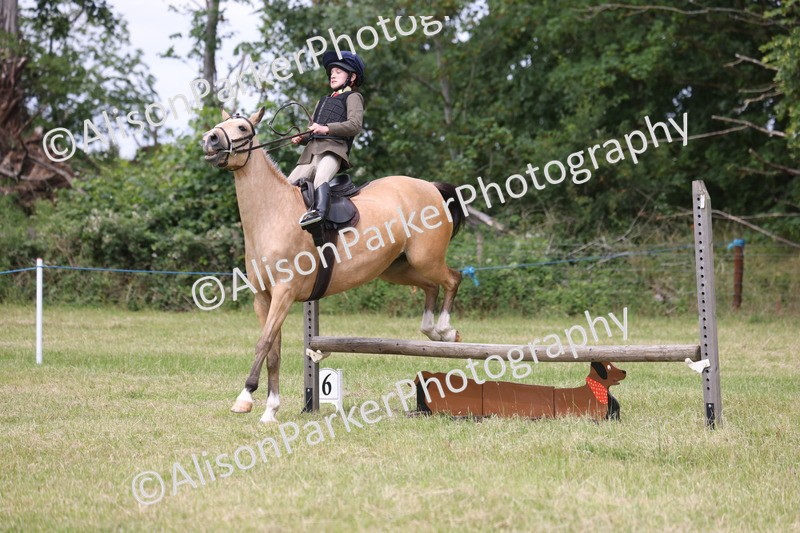 20260614-2960 - Class 22 - Open Working Hunter